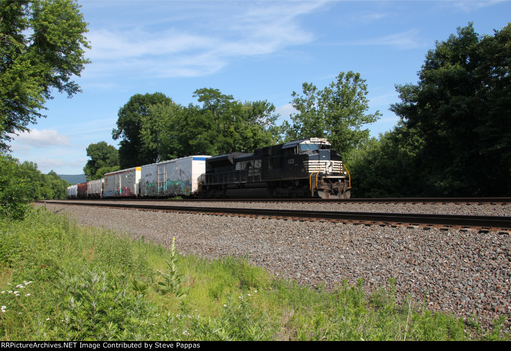 NS 1123 leads a freight East